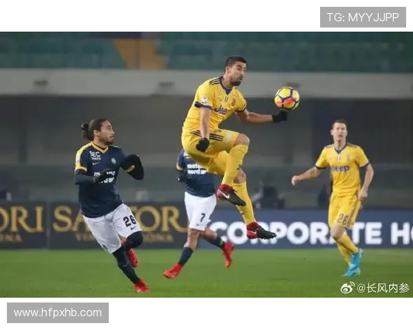 维罗纳新赛季展望:战斗精神与年轻力量结合或将带来持续竞争力 维罗纳新赛季展望:战斗精神与年轻力量结合或将带来持续竞争力